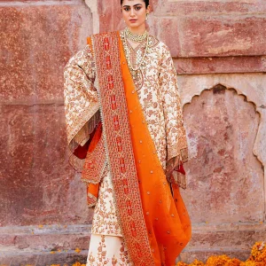 Elegant Occasion Wear Suit