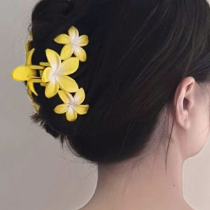 Elegance Hair Clip
